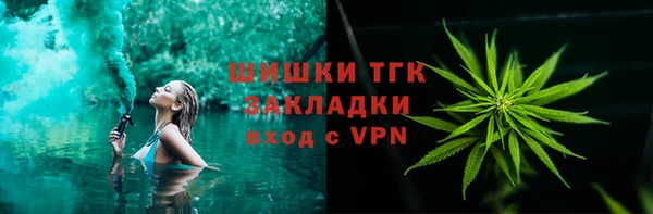 амф Бородино