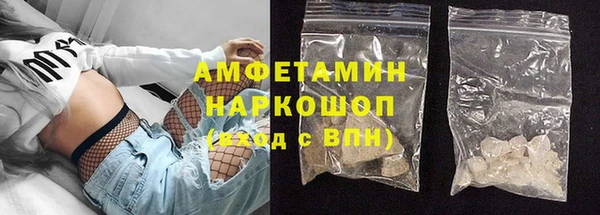 амф Бородино