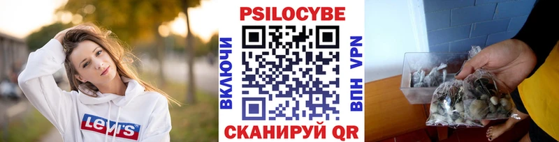 наркотики  Кировск  kraken маркетплейс  Псилоцибиновые грибы мухоморы 